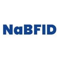 NaBFID Recruitment 2024